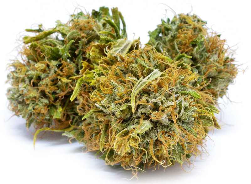 CBD Blüten