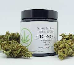 cbdnol cbd blüten